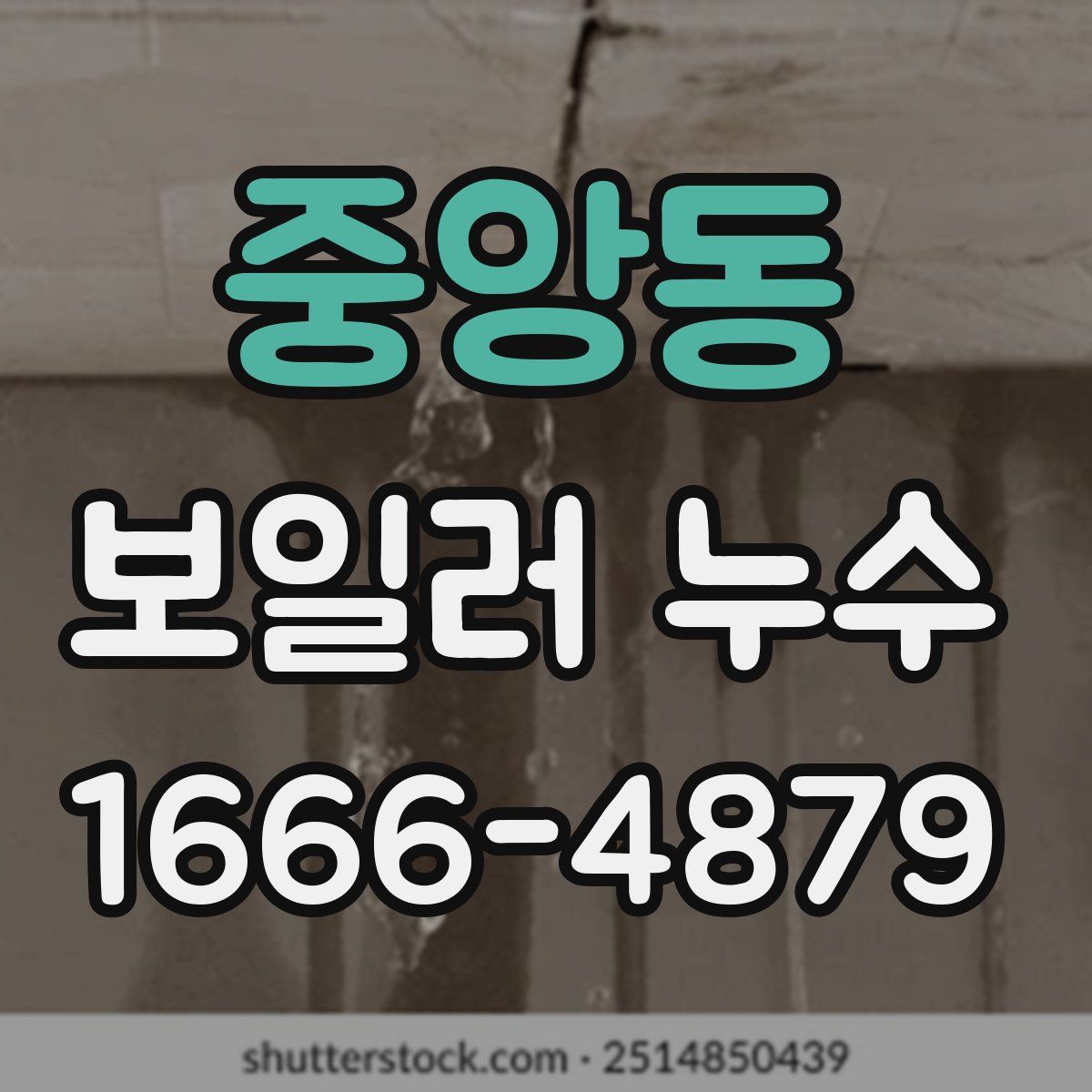 중앙동 보일러 누수