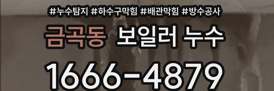 금곡동 보일러 누수