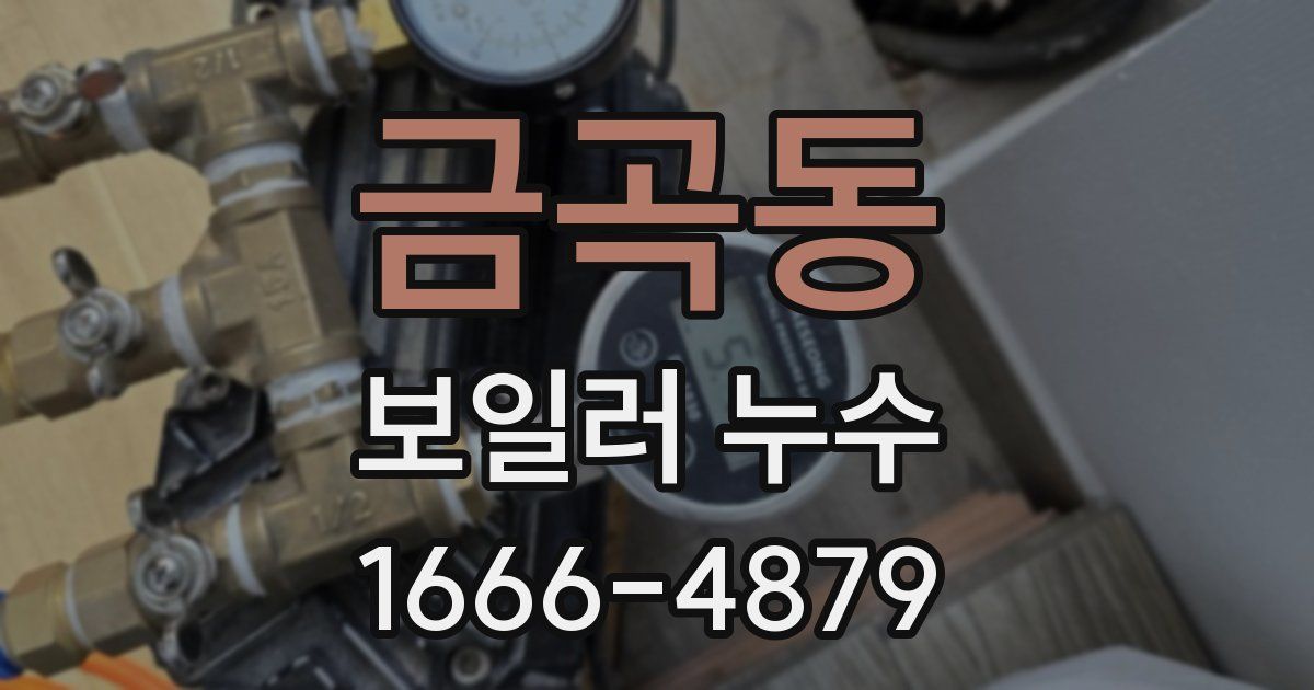 금곡동 보일러 누수