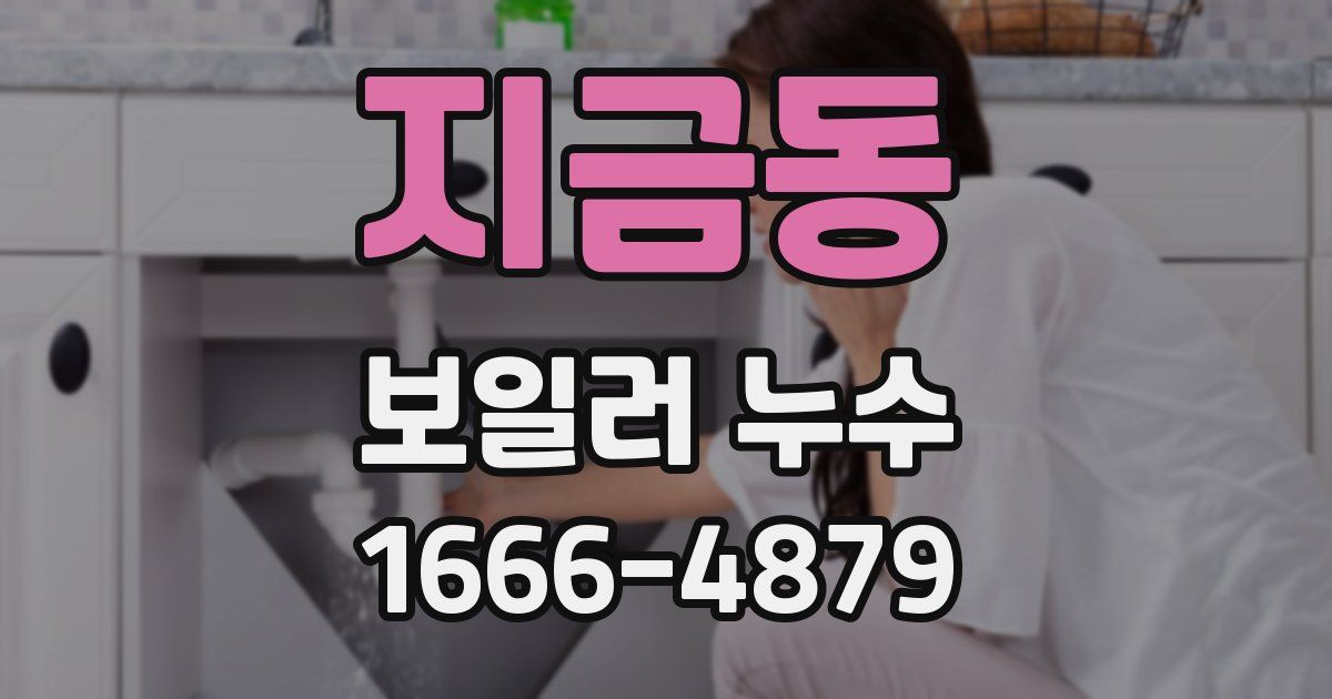 지금동 보일러 누수