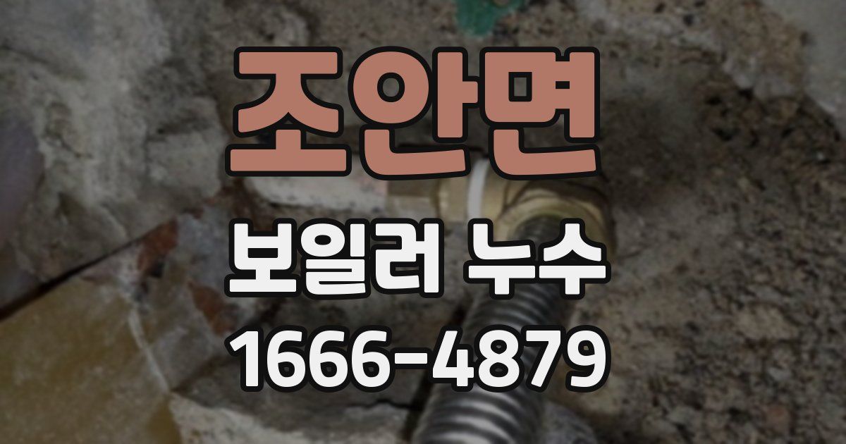 조안면 보일러 누수