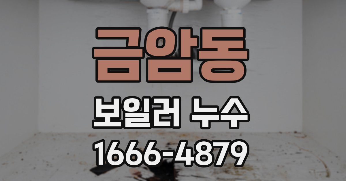 금암동 보일러 누수