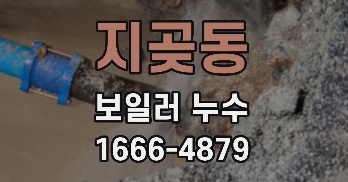 지곶동 보일러 누수