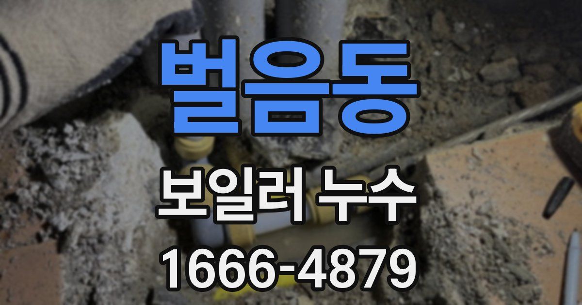 벌음동 보일러 누수