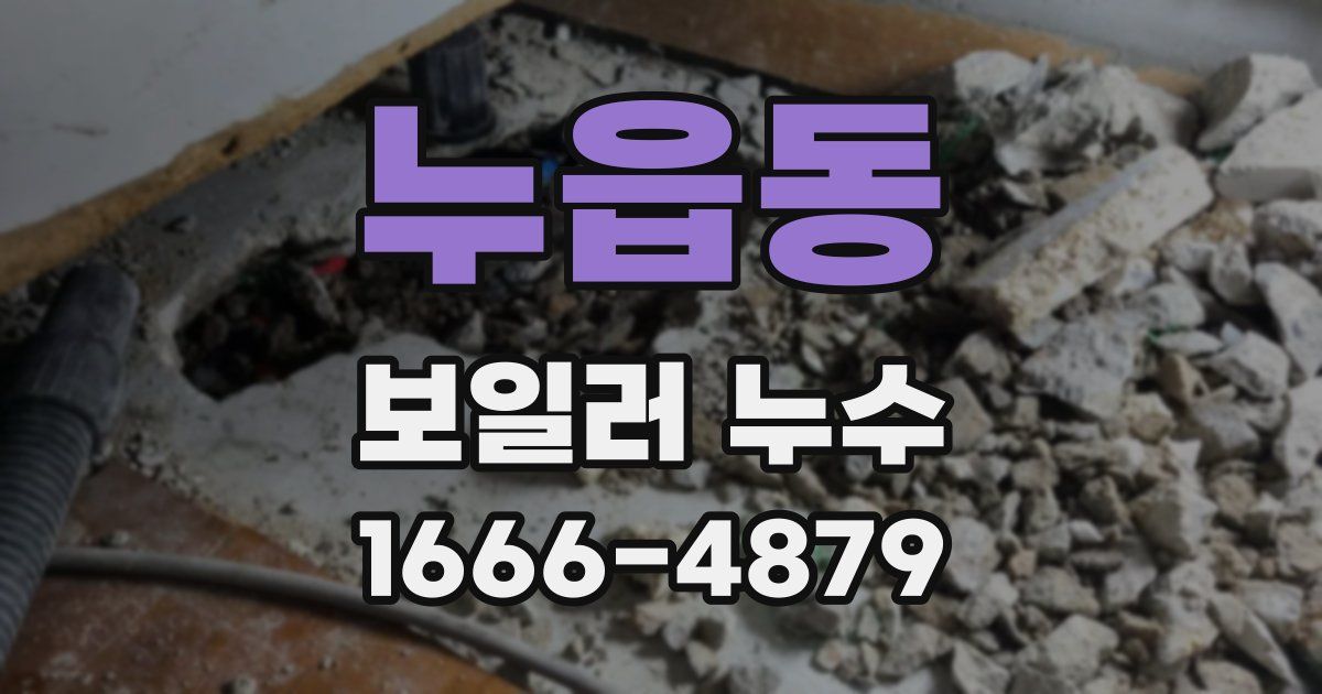 누읍동 보일러 누수