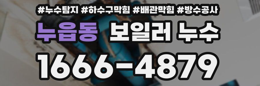 누읍동 보일러 누수