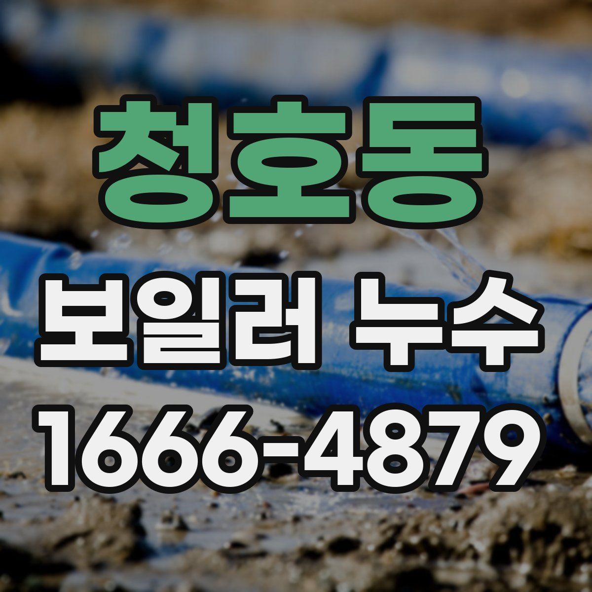 청호동 보일러 누수