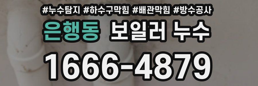 은행동 보일러 누수