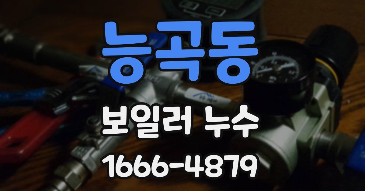 능곡동 보일러 누수