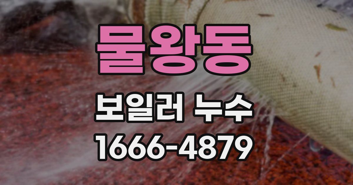 물왕동 보일러 누수