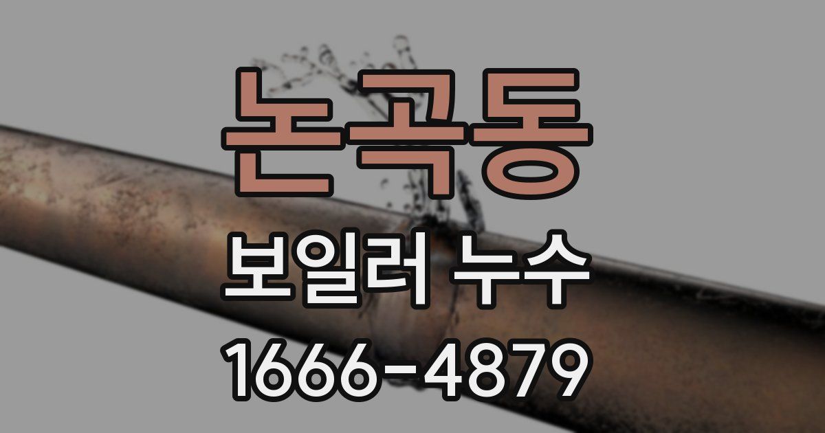 논곡동 보일러 누수