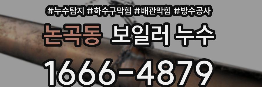 논곡동 보일러 누수