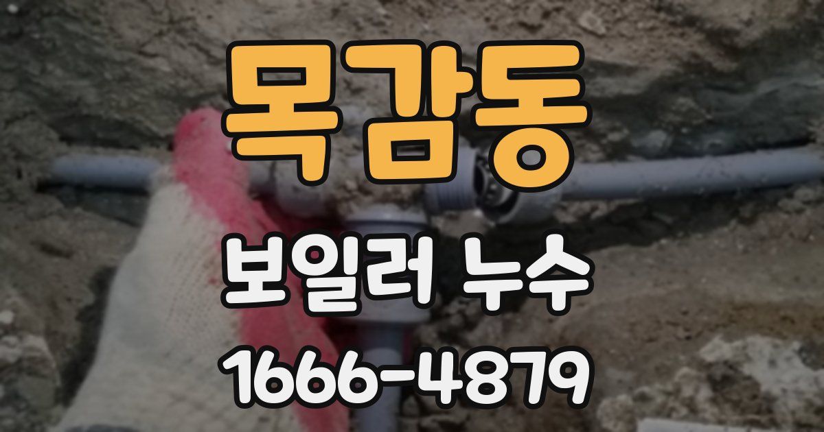 목감동 보일러 누수