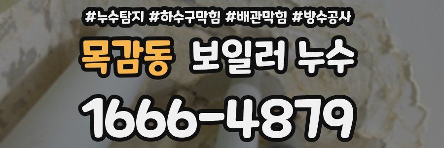 목감동 보일러 누수