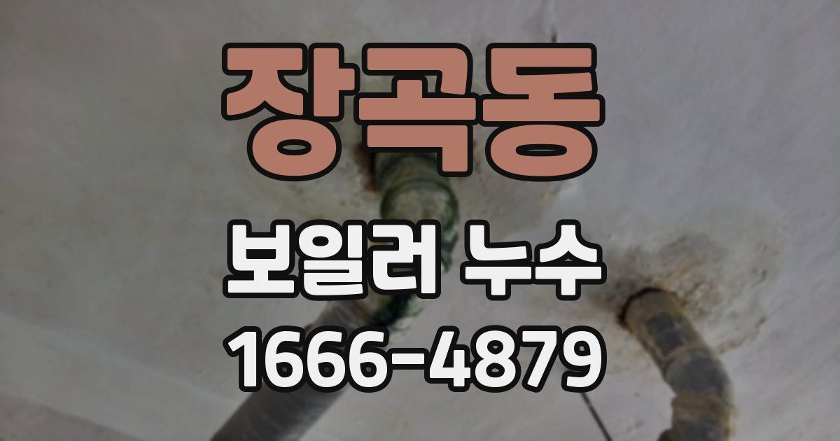 장곡동 보일러 누수