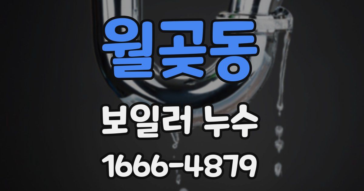월곶동 보일러 누수