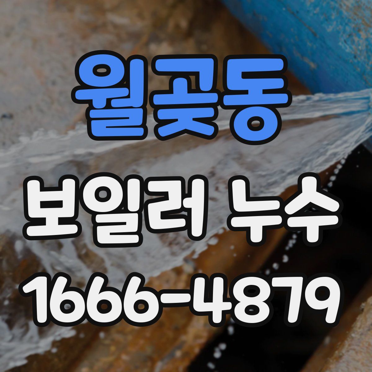 월곶동 보일러 누수