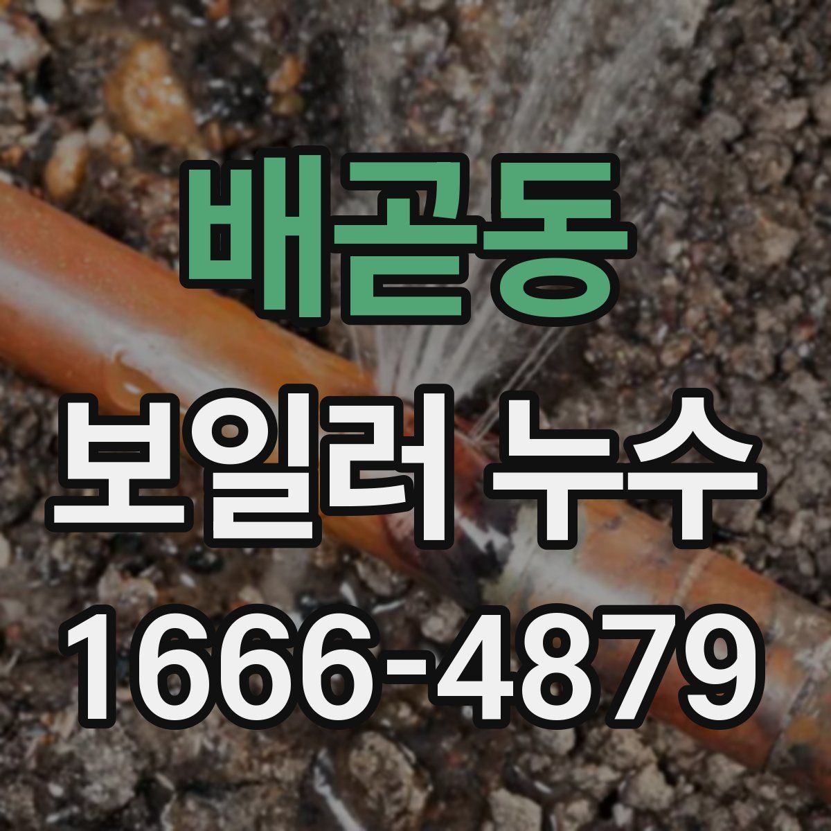 배곧동 보일러 누수