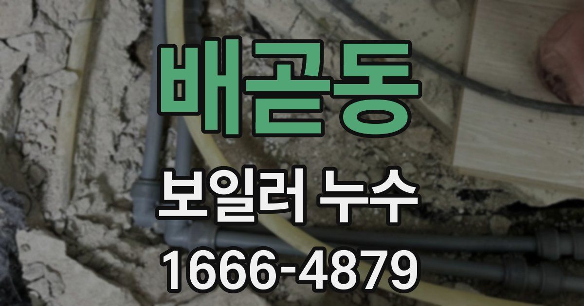 배곧동 보일러 누수