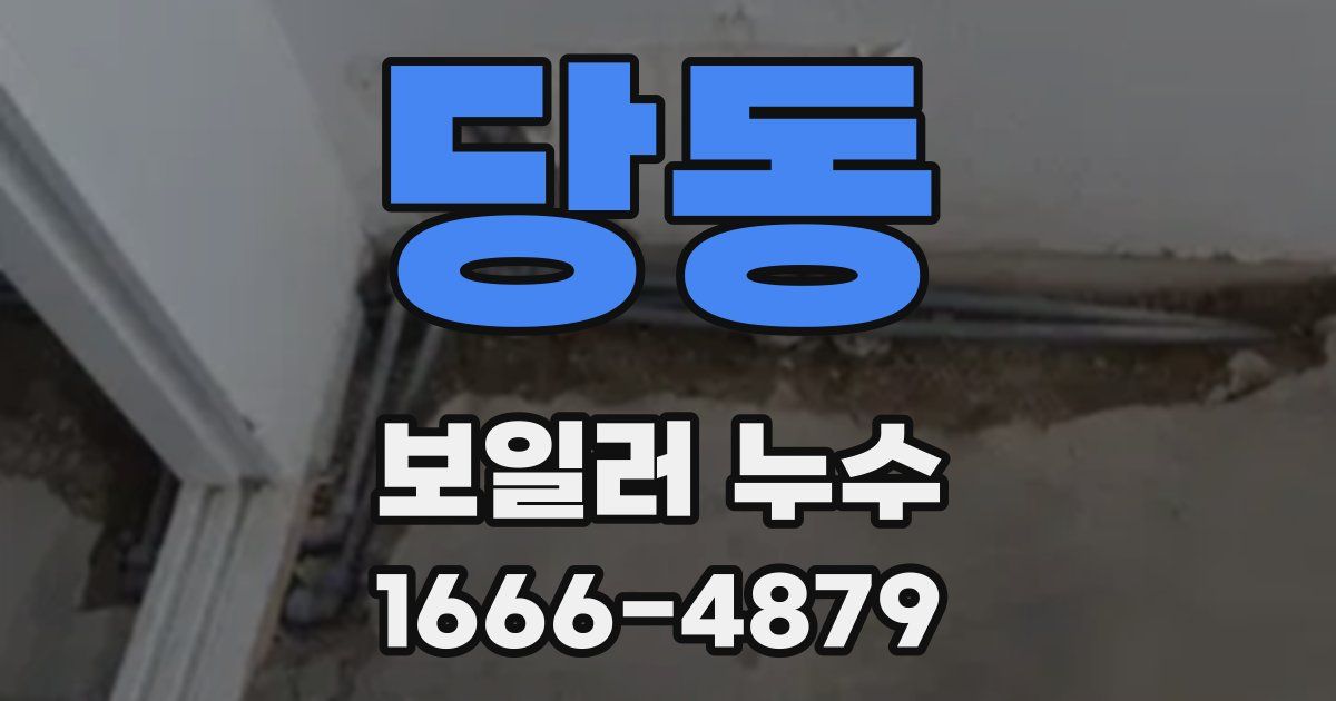 당동 보일러 누수