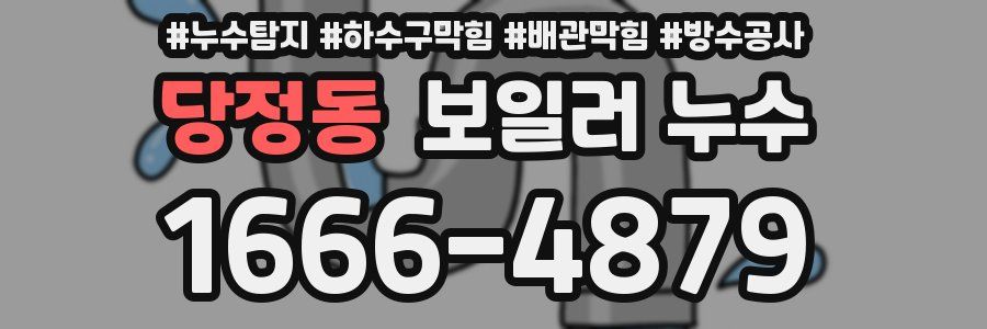 당정동 보일러 누수