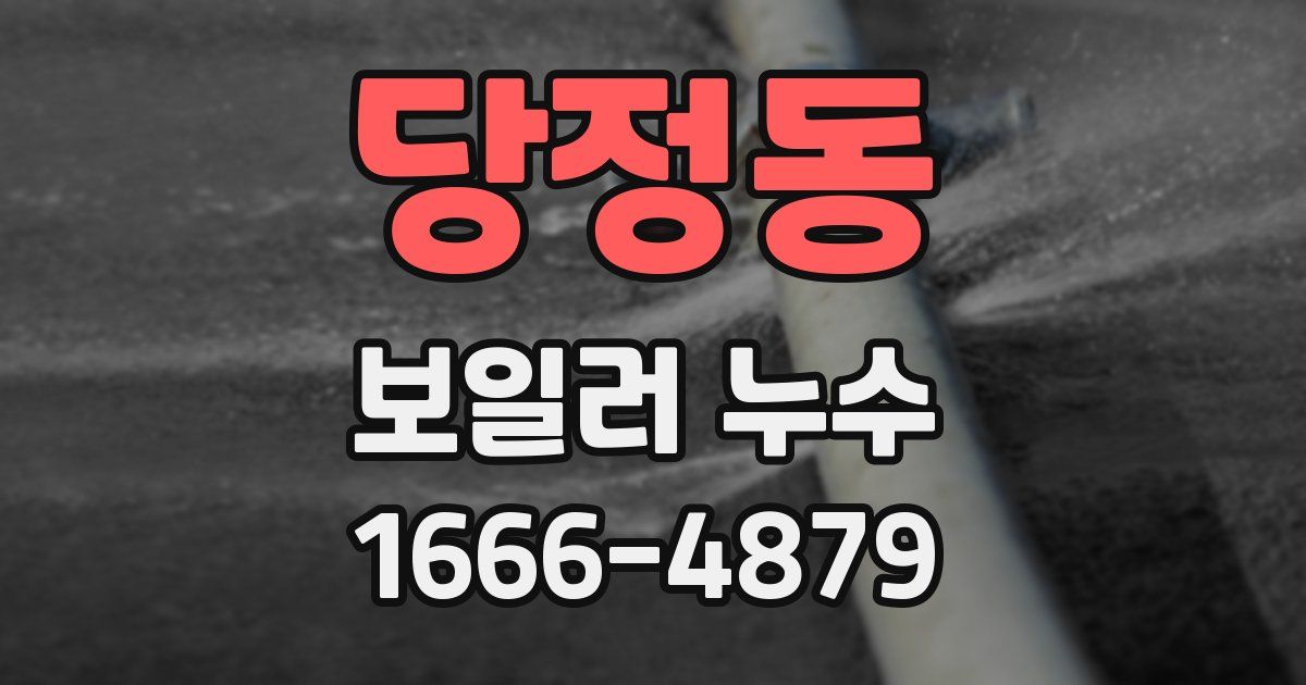 당정동 보일러 누수