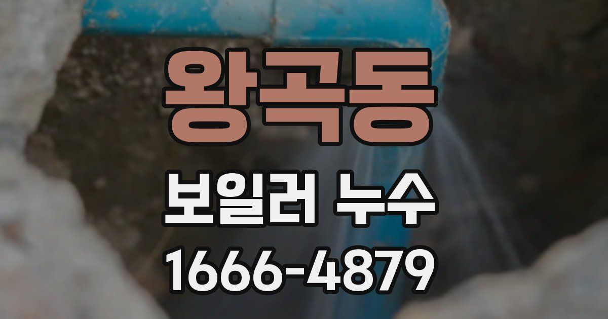 왕곡동 보일러 누수