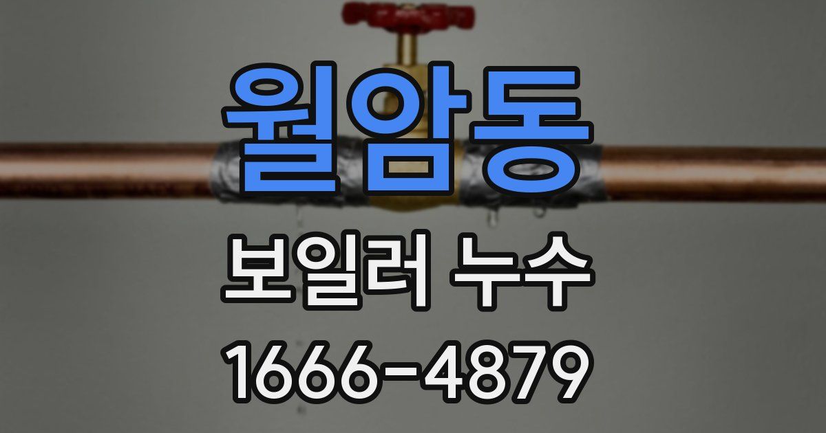 월암동 보일러 누수
