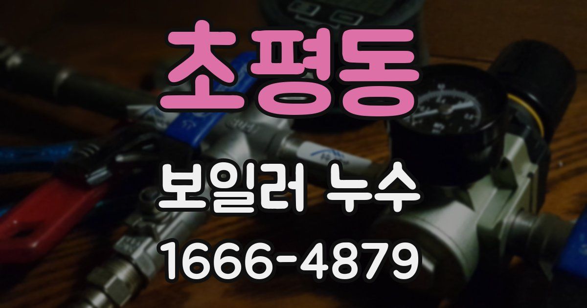 초평동 보일러 누수