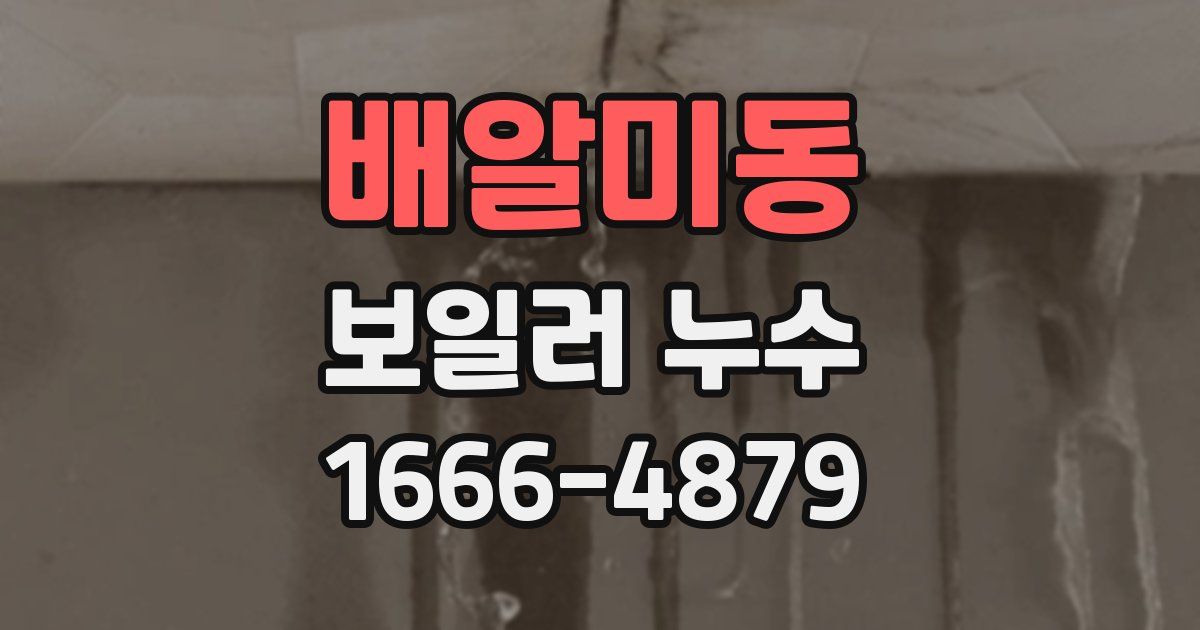 배알미동 보일러 누수