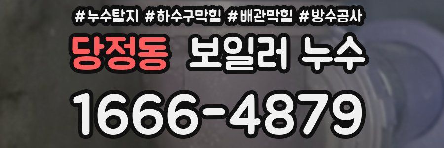 당정동 보일러 누수