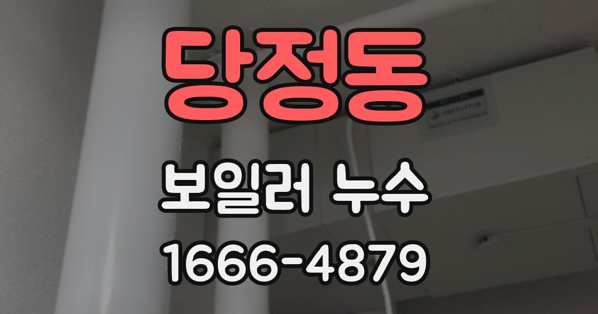 당정동 보일러 누수