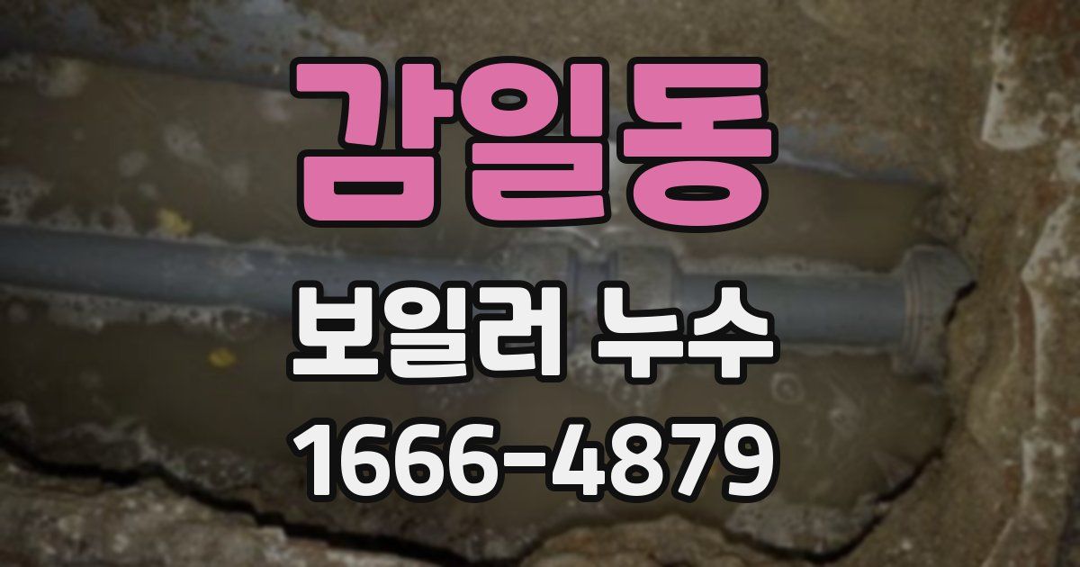 감일동 보일러 누수