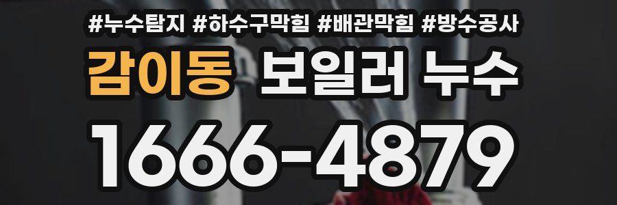 감이동 보일러 누수