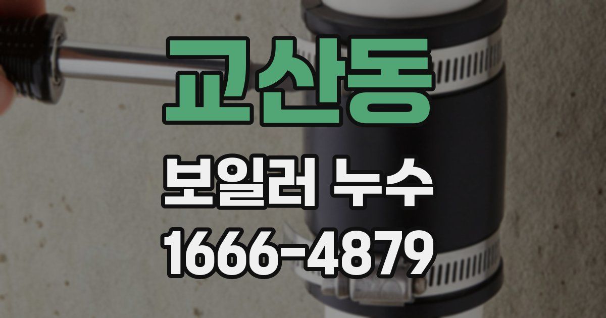 교산동 보일러 누수