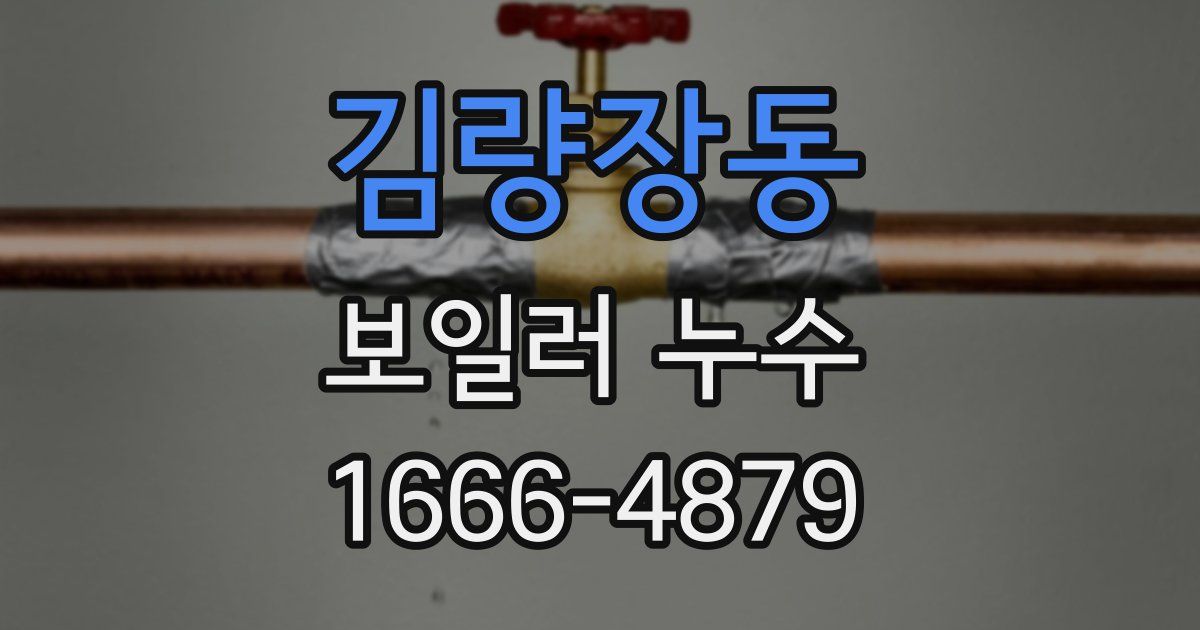 김량장동 보일러 누수