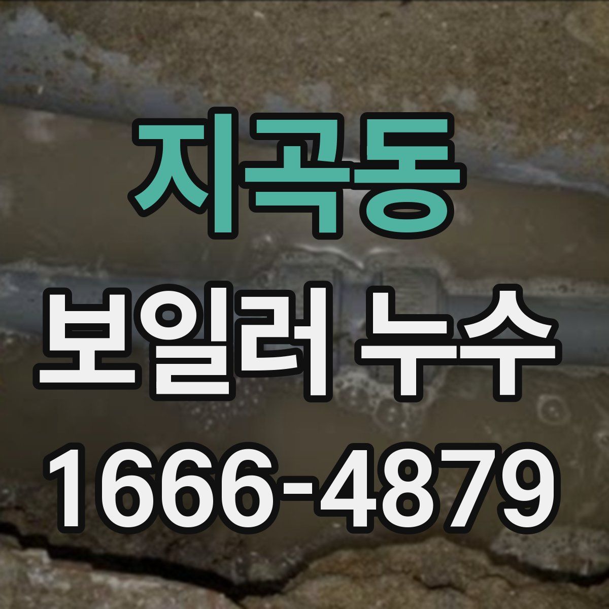 지곡동 보일러 누수