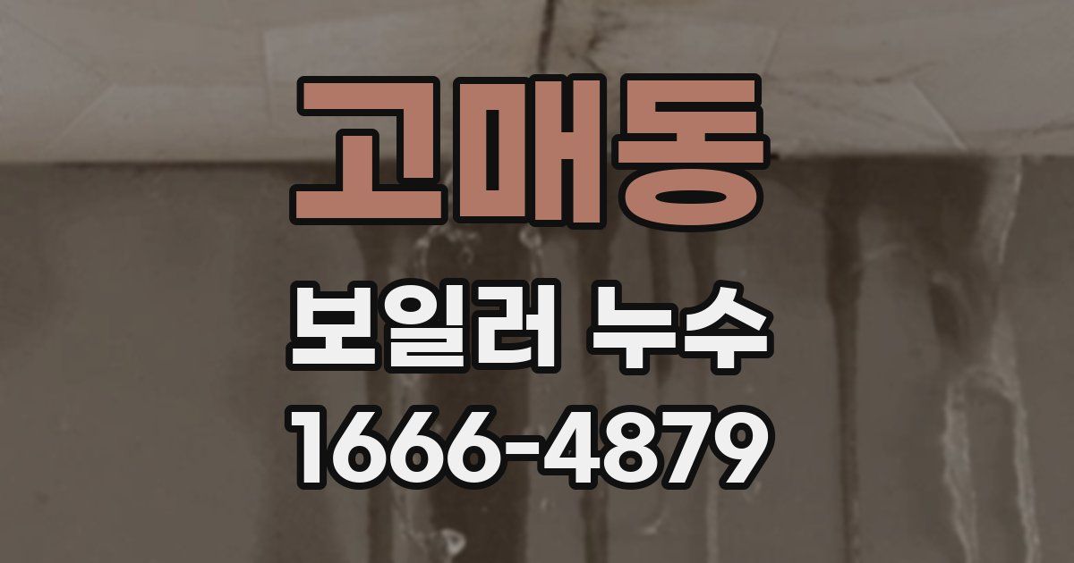 고매동 보일러 누수