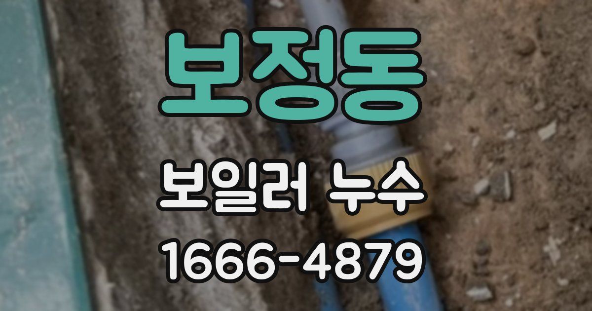 보정동 보일러 누수