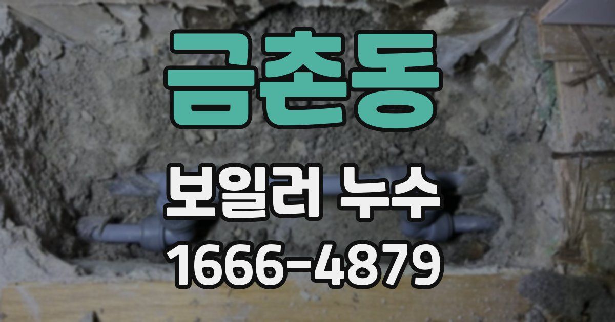금촌동 보일러 누수