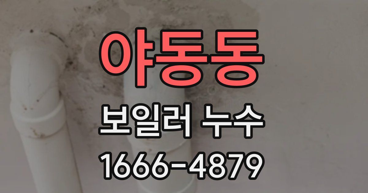 야동동 보일러 누수