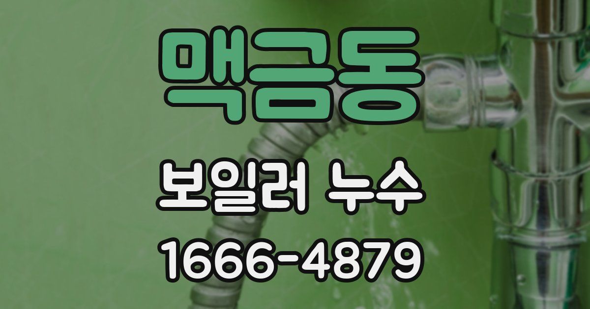 맥금동 보일러 누수