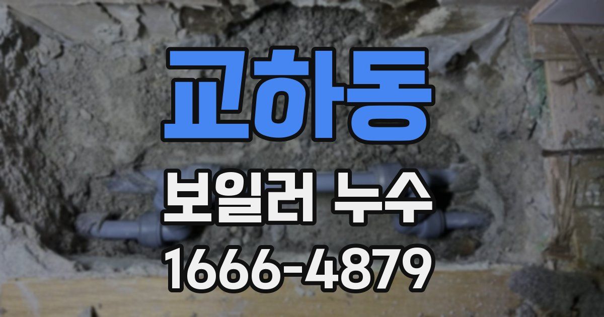 교하동 보일러 누수