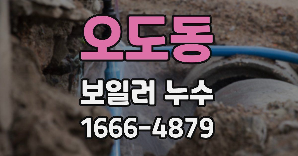 오도동 보일러 누수
