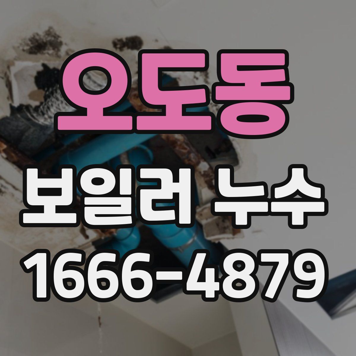 오도동 보일러 누수