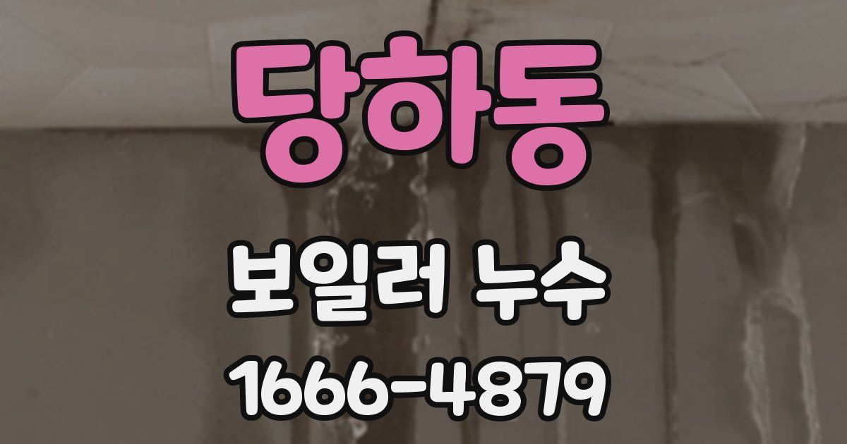 당하동 보일러 누수