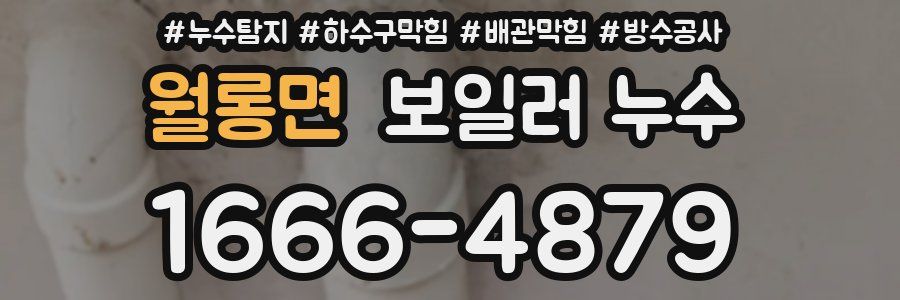 월롱면 보일러 누수