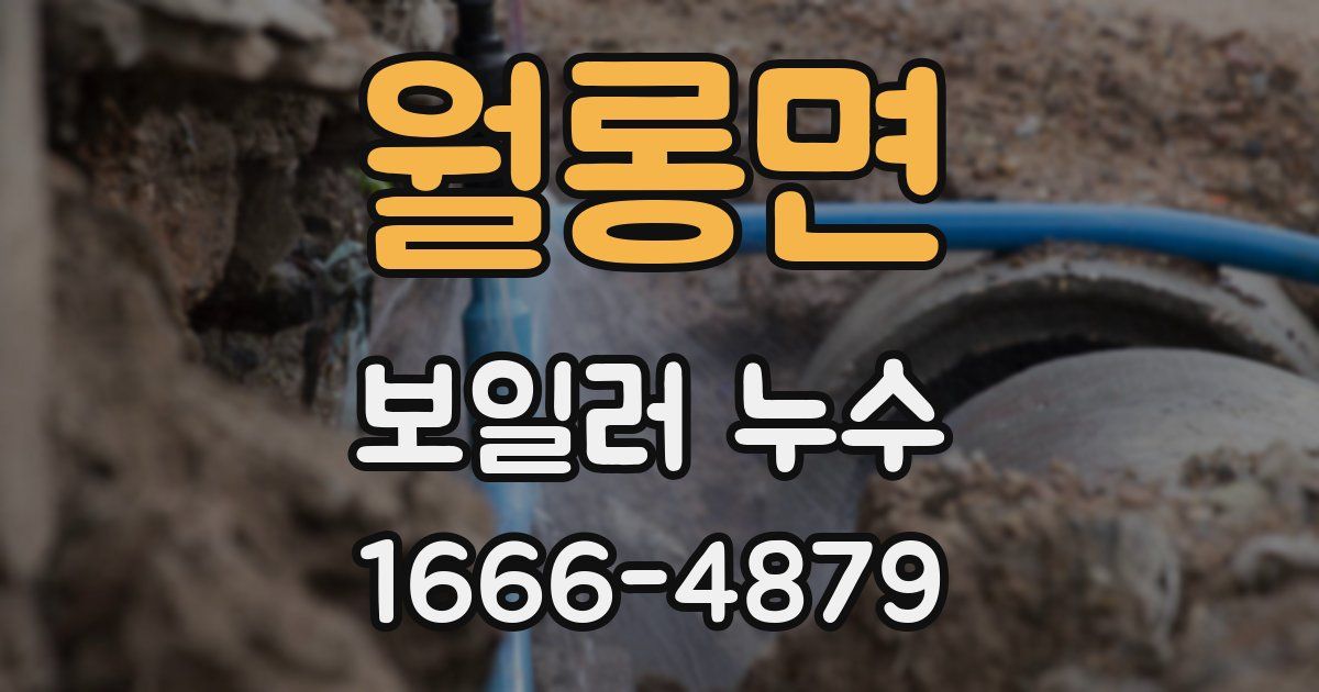 월롱면 보일러 누수