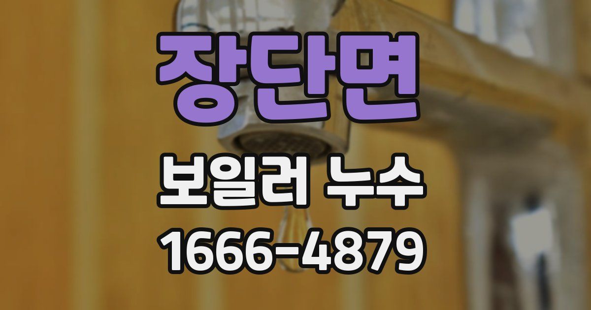 장단면 보일러 누수