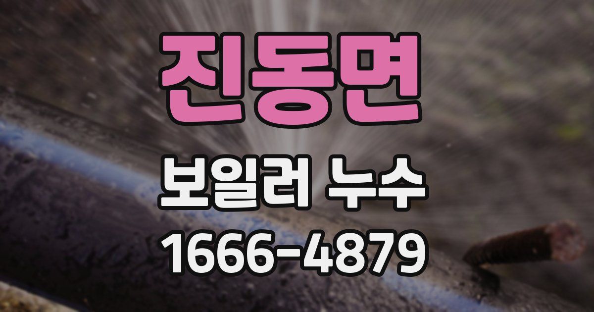 진동면 보일러 누수